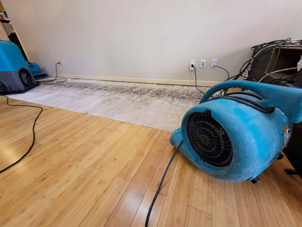 Professional Sewage Cleanup technician working in Henry, IL